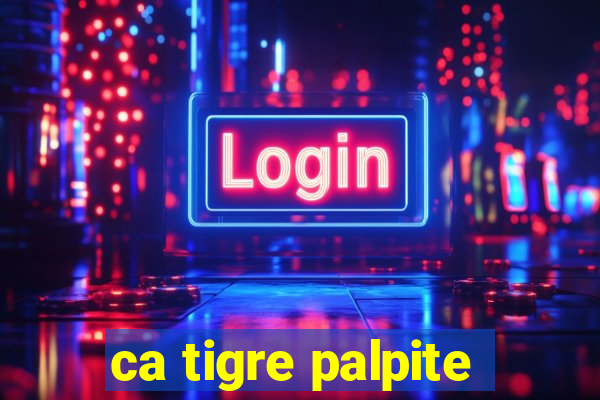 ca tigre palpite